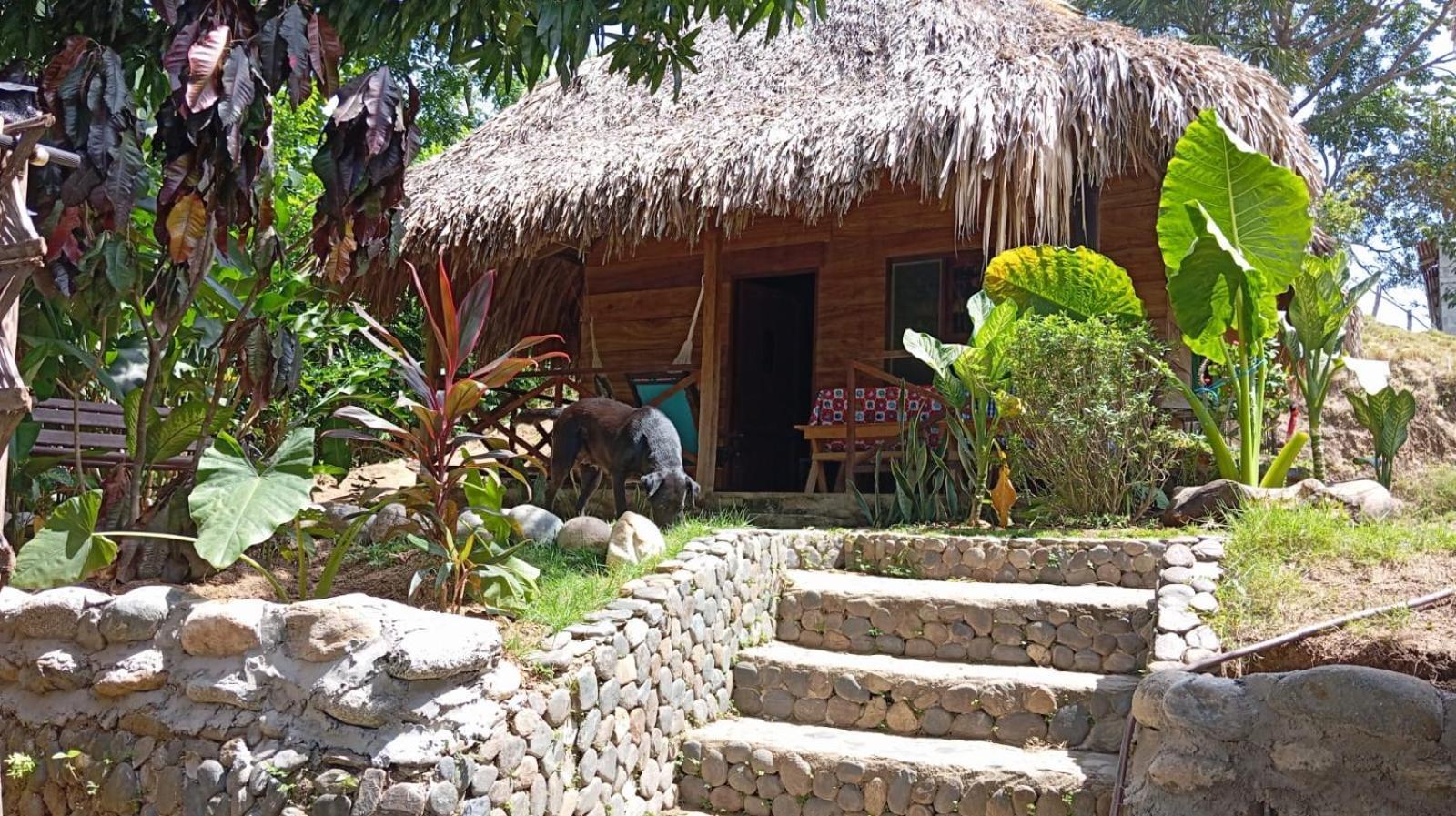 Ecocabanas Diosa Jaguar Tayrona La Esmeralda  Exterior photo